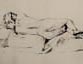 Pencil Sketch